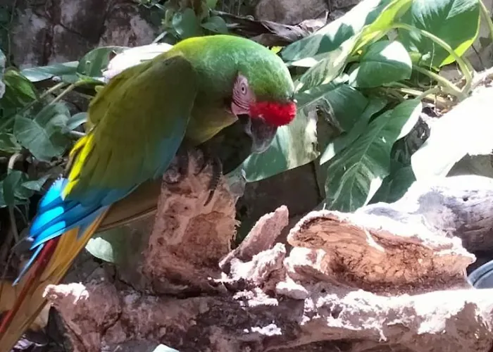 Lyj Hab 25 * Playa del Carmen